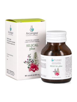 Silical Plus - Capsule - 1