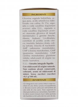 Silicio Olimentovis - Integratore a base di Equiseto - 3