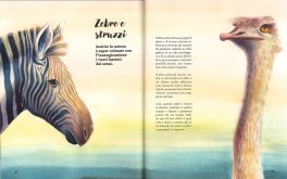 Simbiosi — Libro - 4