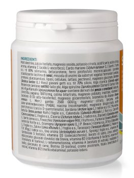 SinerBASE - 3