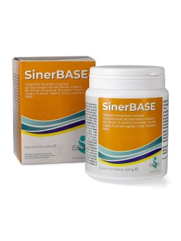 SinerBASE - 4