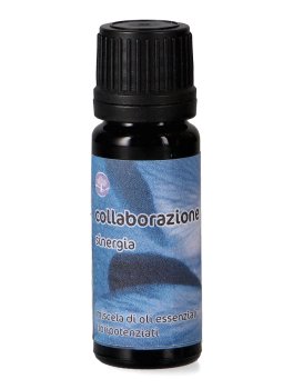 Sinergia Collaborazione - Miscela di Oli Essenziali - 1