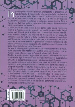Sinergie Energetiche — Libro - 2