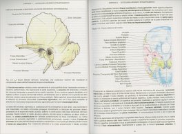 Sistema Gnato-Posturale — Libro - 3