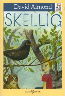 Skellig — Libro - 1