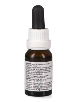 Slender Rice Flower - Essenza Floreale Australiana Singola - 2