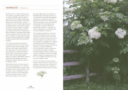 Slow Drink — Libro - 3