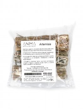 Smudge di Artemisia - 1