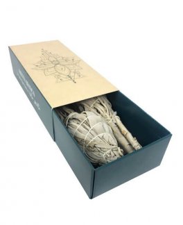 Smudge Salvia Bianca - 6