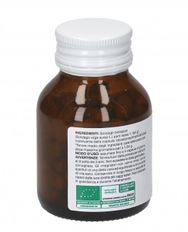 Solidago Biologico - 2