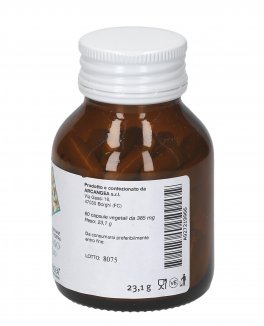 Solidago Biologico - 3