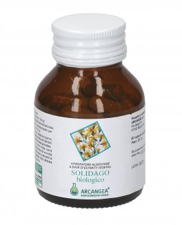 Solidago Biologico - 1