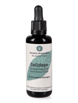 Solidago - Estratto Idroalcolico - 1