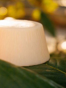 SolidOlio Bio Fresia - 6