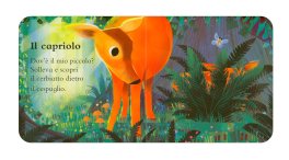 Solleva e Scopri - I Cuccioli del Bosco — Libro - 3