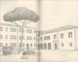 Solo una Parola — Libro - 3