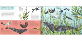 Sopra e Sotto - Mari e Oceani — Libro - 3