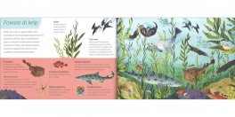 Sopra e Sotto - Mari e Oceani — Libro - 4