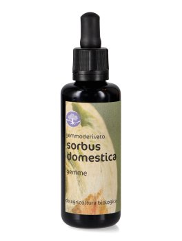 Sorbus Domestica - Gemmoderivato - Gemme - 1