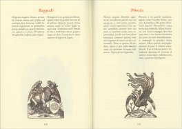 Sortilegium Vol. 2 — Libro - 5