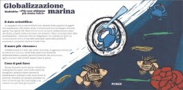SOS Oceano — Libro - 3