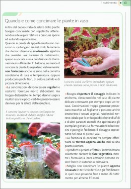 Sos Verde — Libro - 3