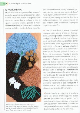 Sos Verde — Libro - 4