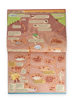 Sottacqua, Sottoterra — Libro - 5