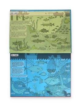 Sottacqua, Sottoterra — Libro - 2