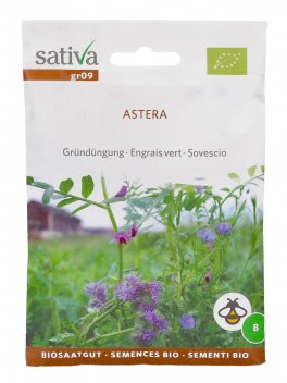 Semi di Sovescio Astera - 1