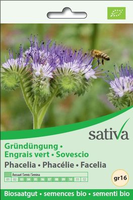 Sovescio Facelia - 1