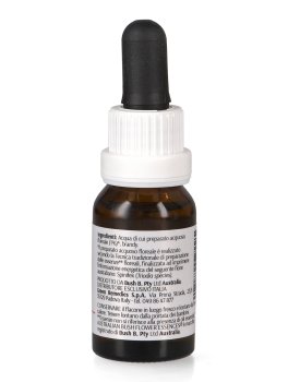 Spinifex - Essenza Floreale Australiana Singola - 2