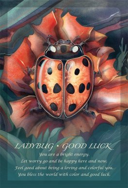 Spirit of the Animals Oracle - 9