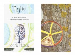 Spirito degli Alberi - Carte per la Scelta - 4