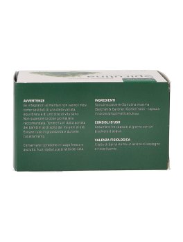 Spirulina - 2