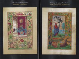 Splendor Solis - Commentario del Maestro Mra — Libro - 3