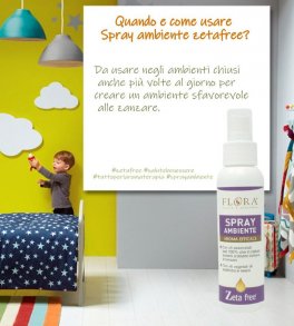 Spray Ambiente "Zeta Free" - 4