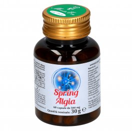 Spring Algia - 1