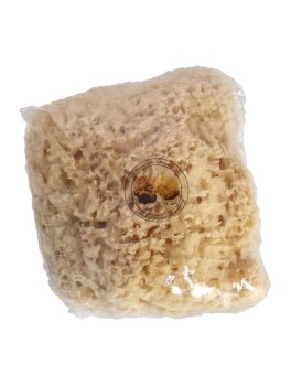 Spugna di Mare Lavata - "Arcipelago" - 4