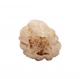 Spugna in Luffa Naturale - Grande - 4
