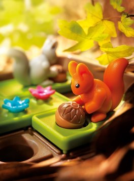 Squirrels Go Nuts - 5