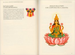 Sri Vitthala Giridhari Parabrahmane Namah — Libro - 3