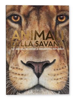 Star - Animali della Savana — Libro - 1