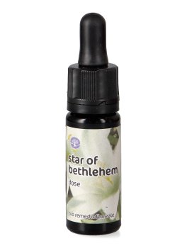 Star of Bethlehem - Dose - 1