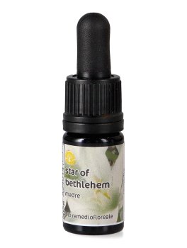 Star of Bethlehem - Soluzione Madre - 1