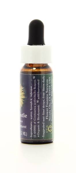 Star Thistle - Fiori californiani - 2