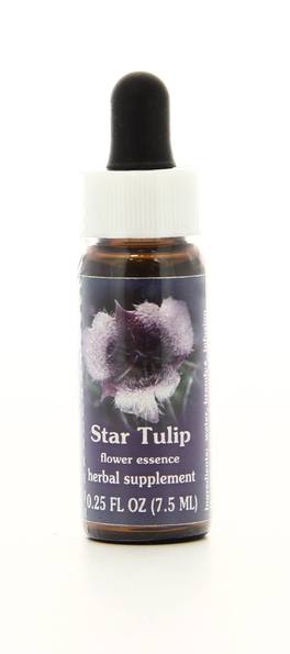 Star Tulip - Fiori californiani - 1