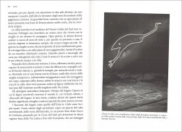 Stelle — Libro - 3