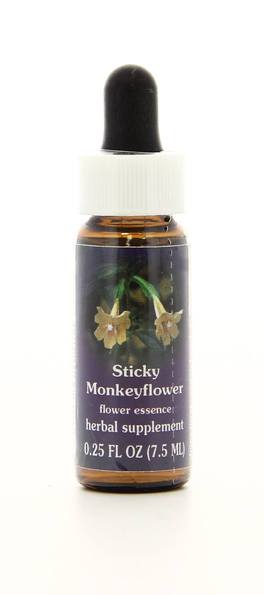 Sticky Monkeyflower - Fiori californiani - 1
