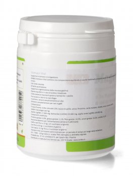 Stomaco Vital - 4